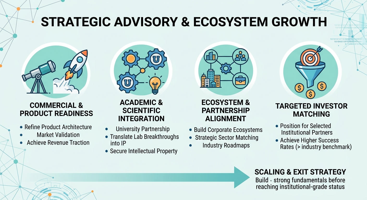 Strategic Advisory Beyond Traditional Venture Capital for Scale-Ups and Research Spin-Outs Malaysia